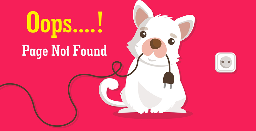 Page Not Found