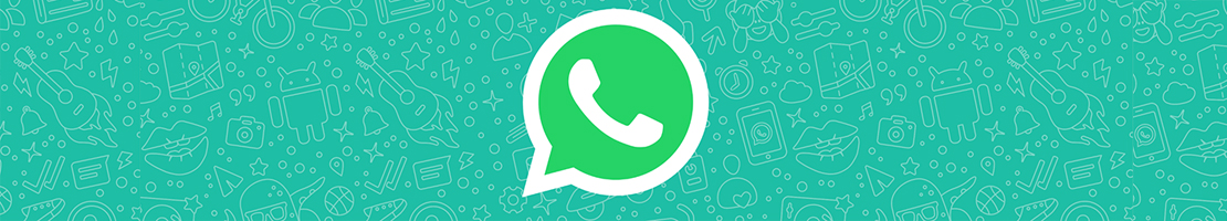 WhatsApp Reporting Guide